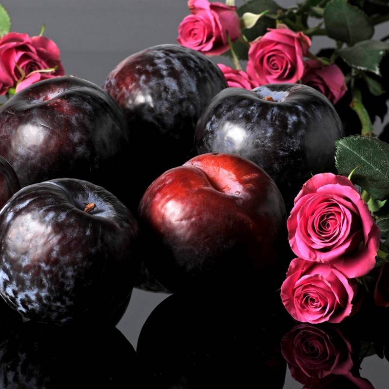 Plum Rose & Patchouli Fragrance Oil